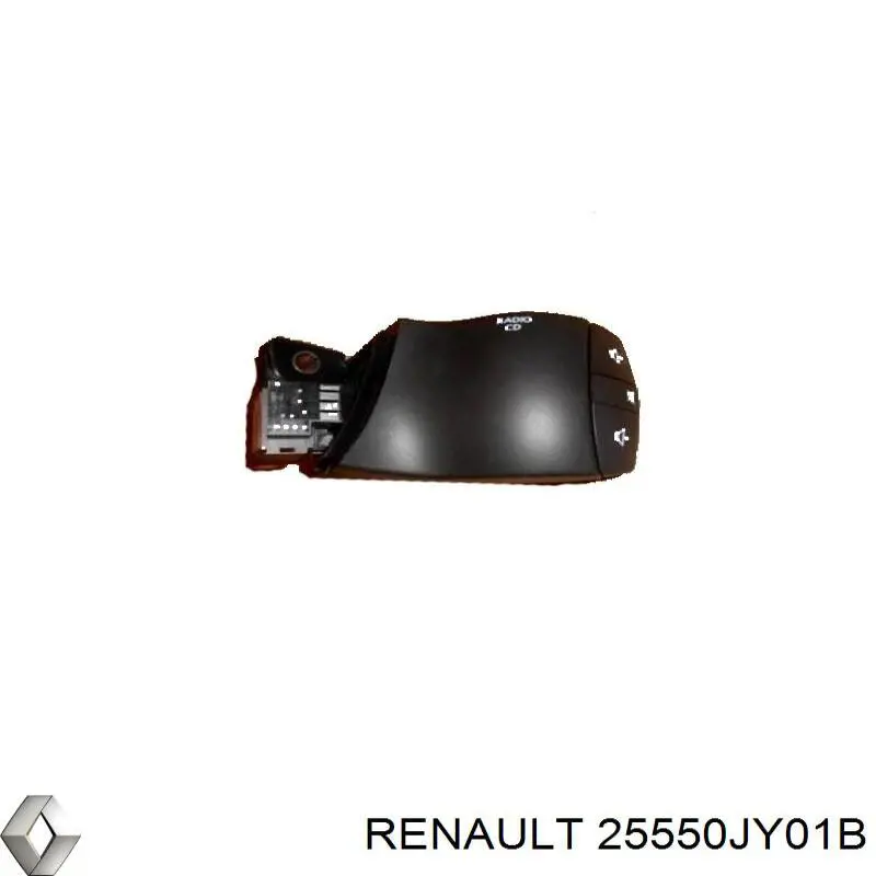 25550JY01B Renault (RVI) 