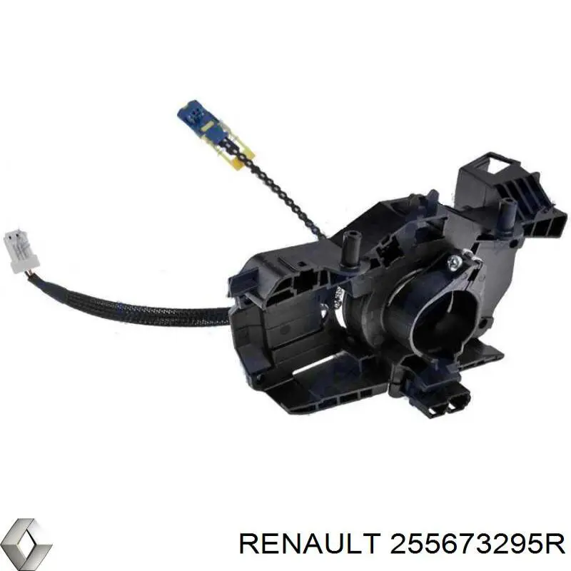  Renault (RVI) 255673295R