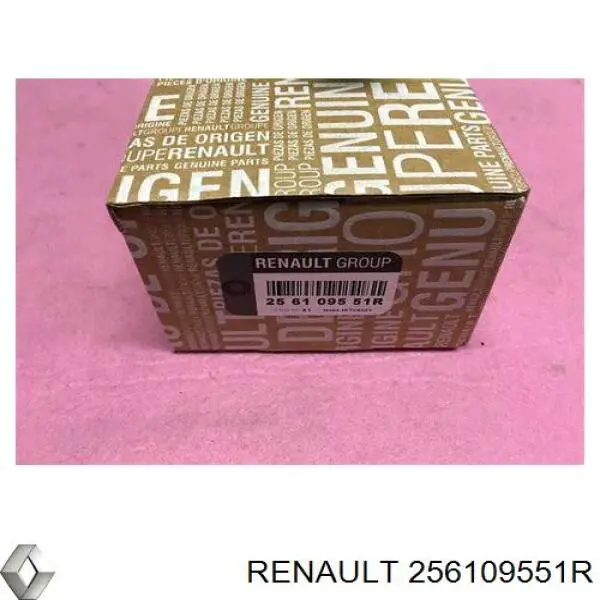 256100004R Renault (RVI) Sinal sonoro (cláxon)