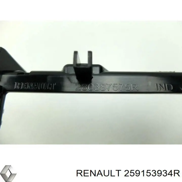 259153934R Renault (RVI) 