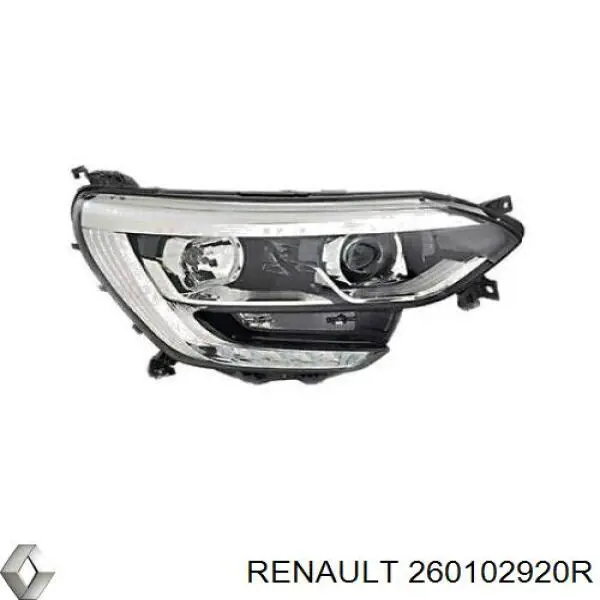 260102920R Renault (RVI) Luz direita