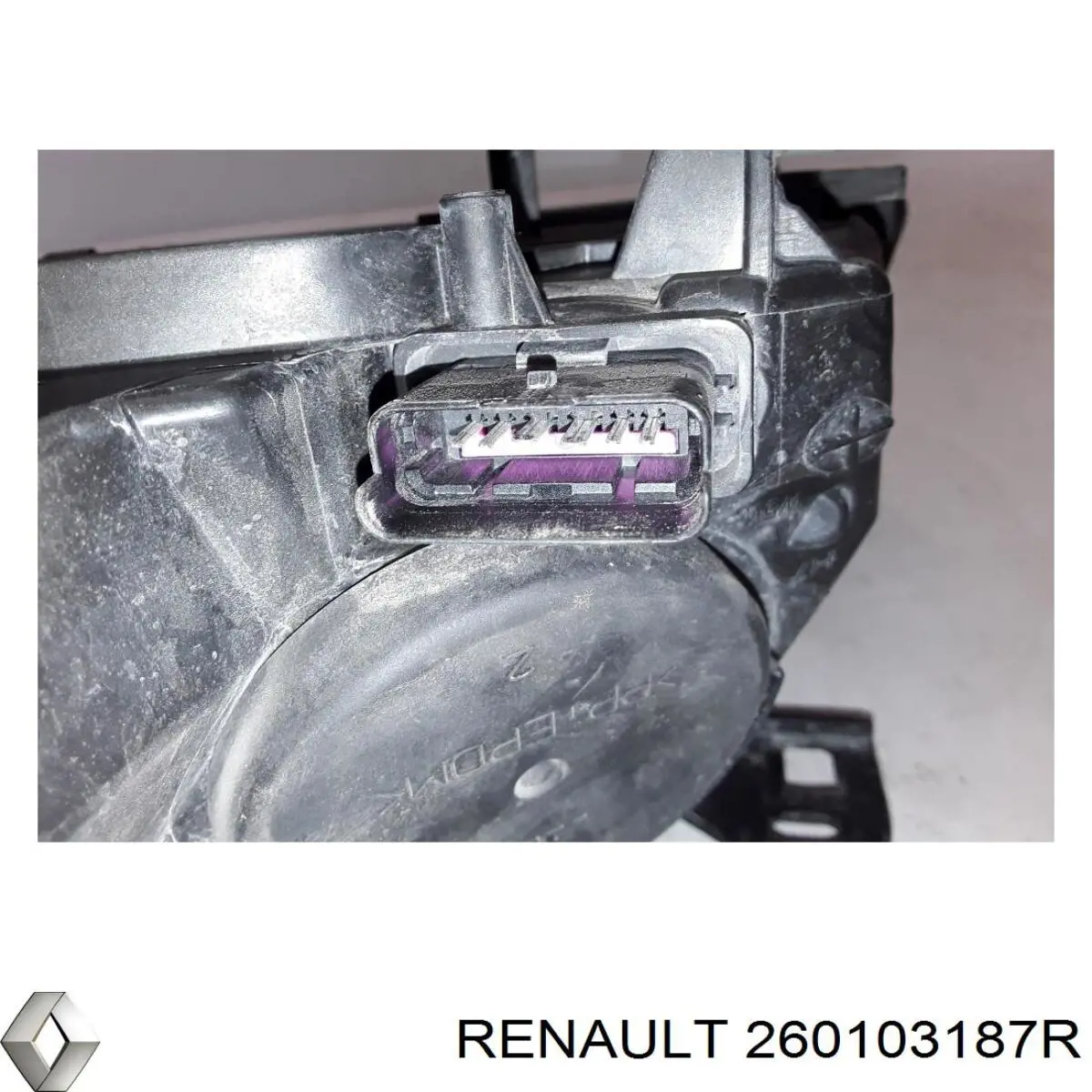 260103187R Renault (RVI) Luz direita