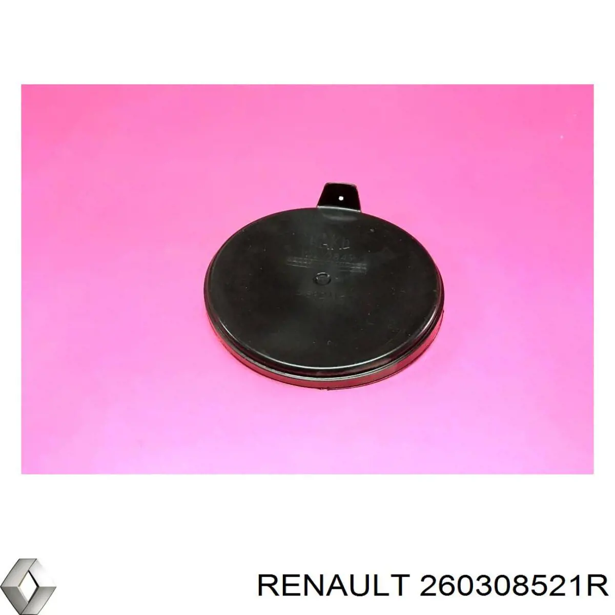 260308521R Renault (RVI) 