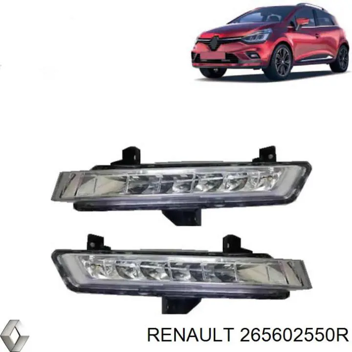 265602550R Renault (RVI) 