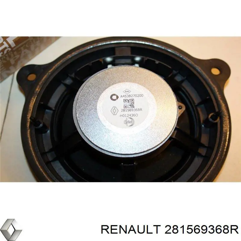 281569368R Renault (RVI) Alto-falante da porta dianteira