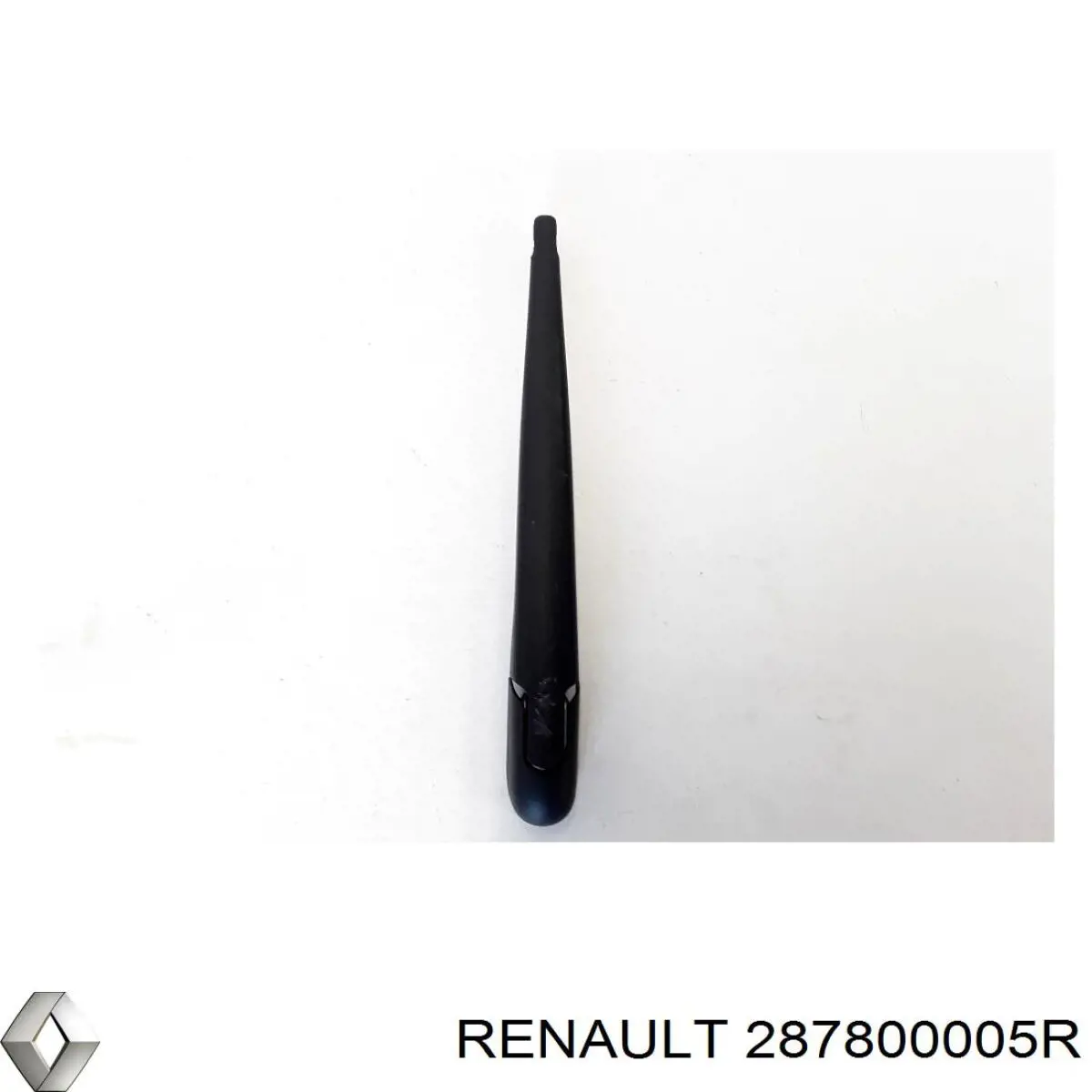 287800005R Renault (RVI) 