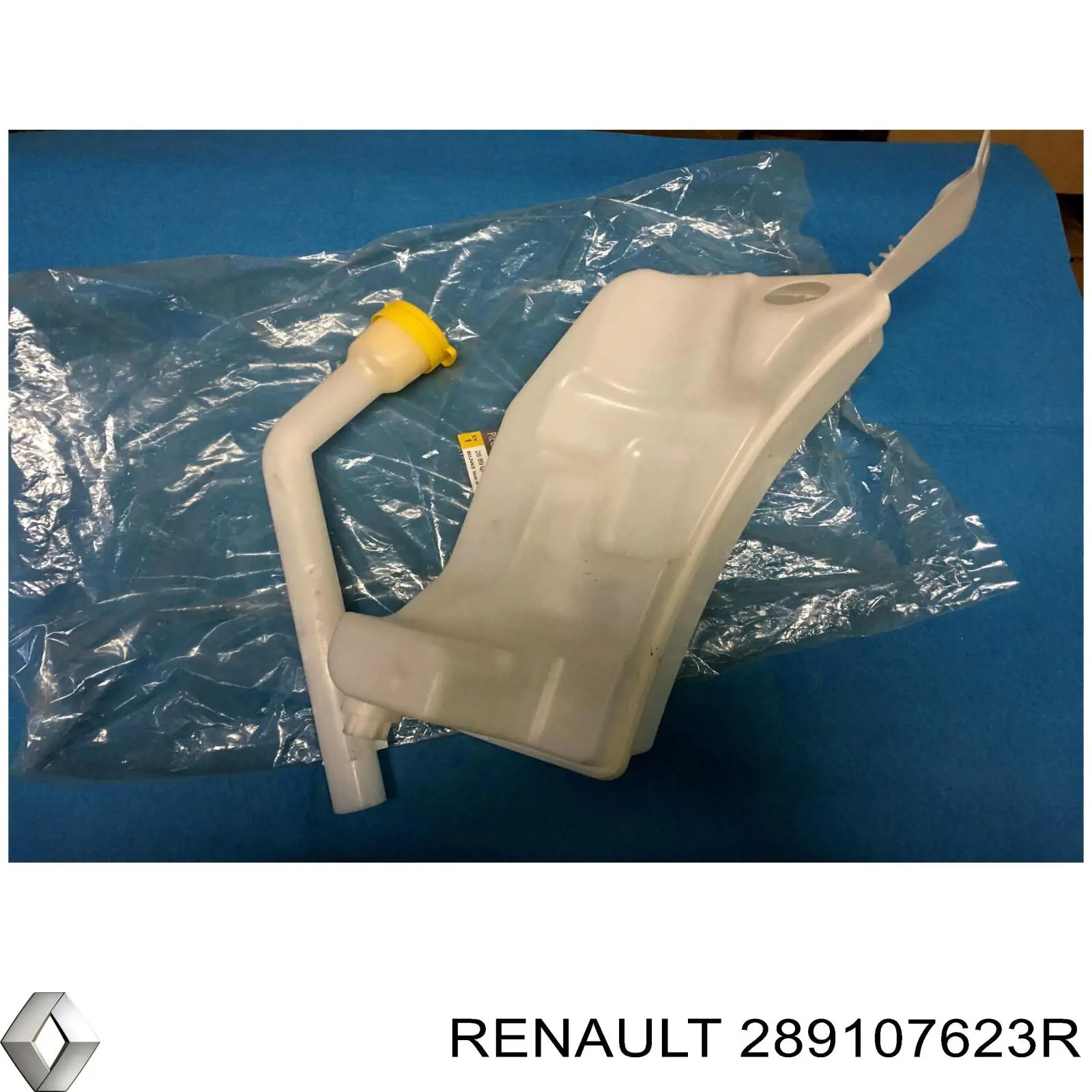 Tanque de fluido para lavador de vidro Renault (RVI) 289107623R preço, a partir de 78,32 USD