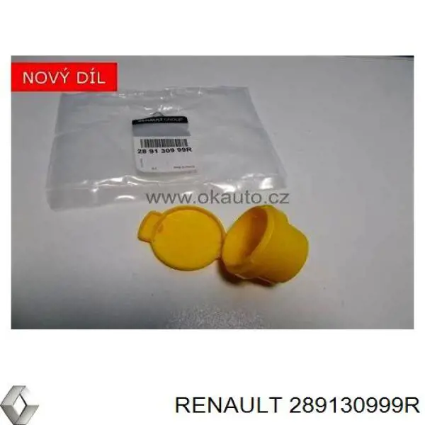 289130999R Renault (RVI) Tampa de tanque de fluido para lavador