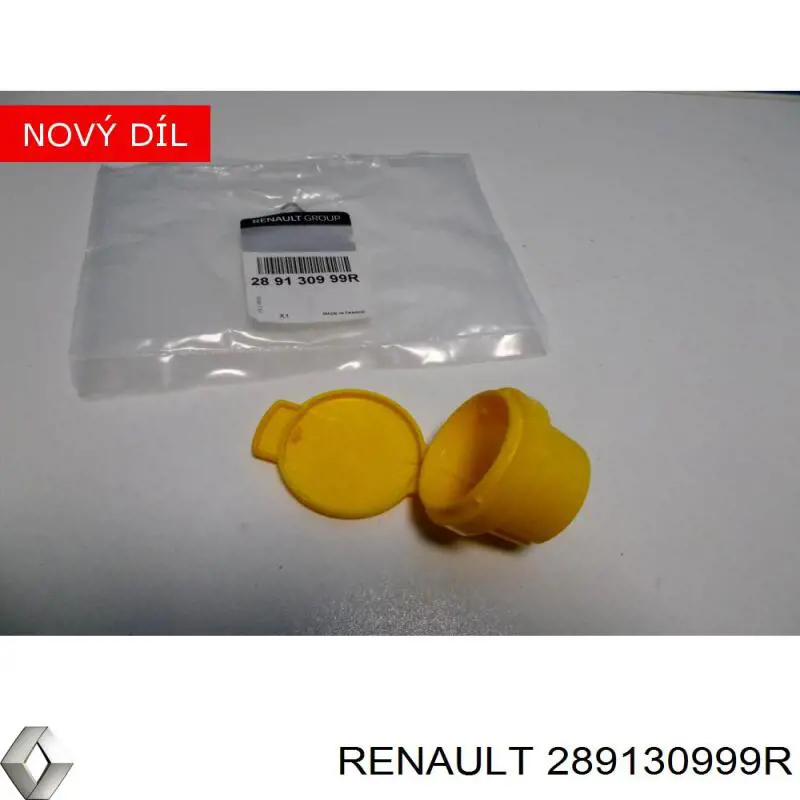 Compre 289130999R Renault (RVI) Tampa de tanque de fluido para lavador