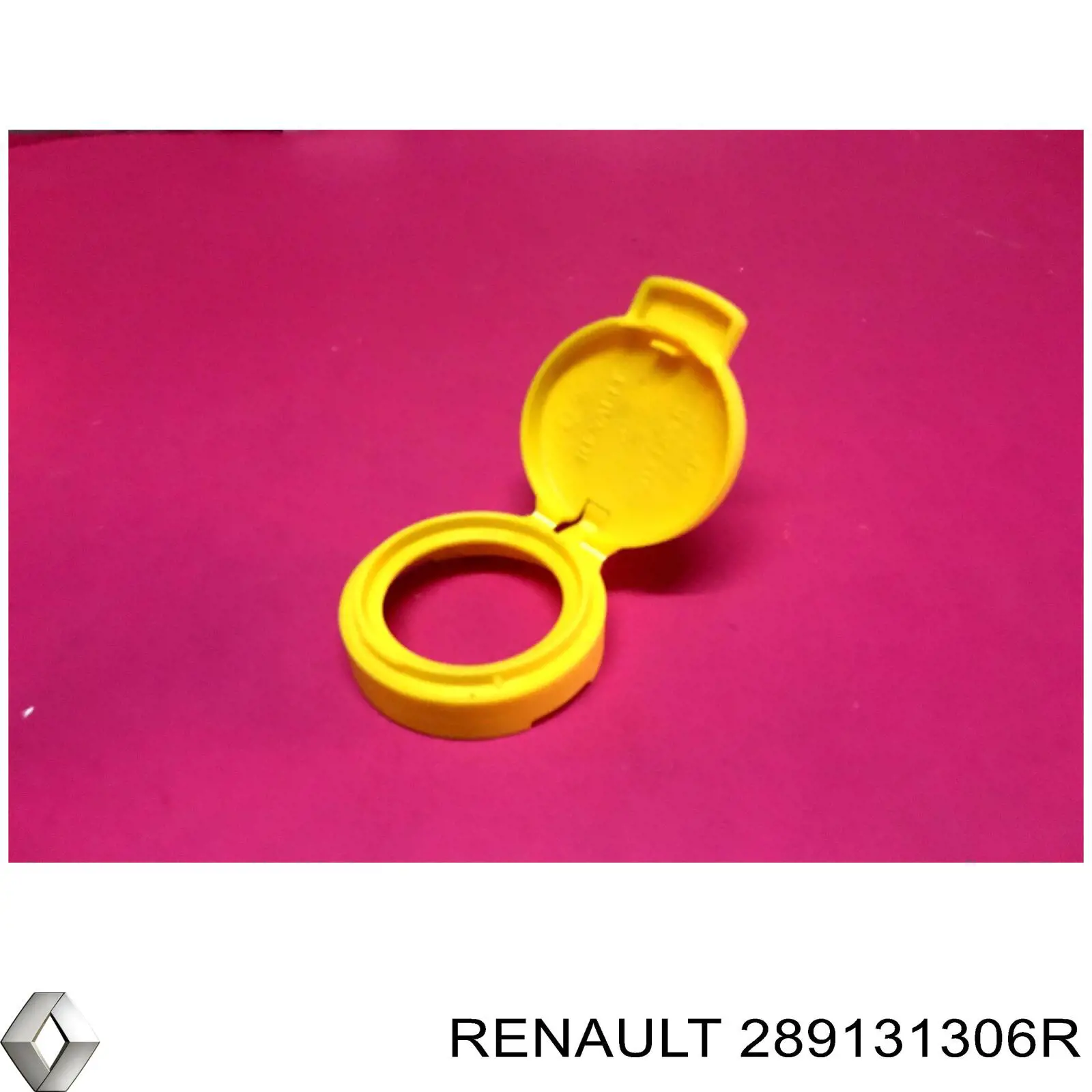289131306R Renault (RVI) Tampa de tanque de fluido para lavador