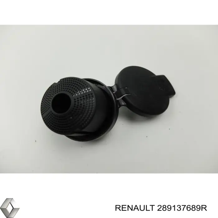 Compre 289137689R Renault (RVI) Tampa de tanque de fluido para lavador