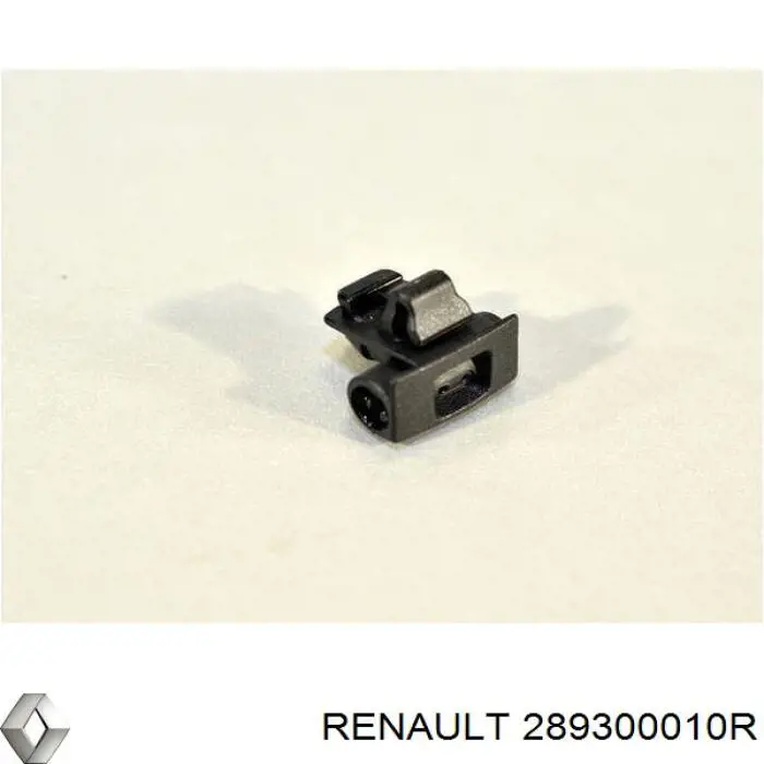 289300010R Renault (RVI) Injetor de fluido para lavador de pára-brisas
