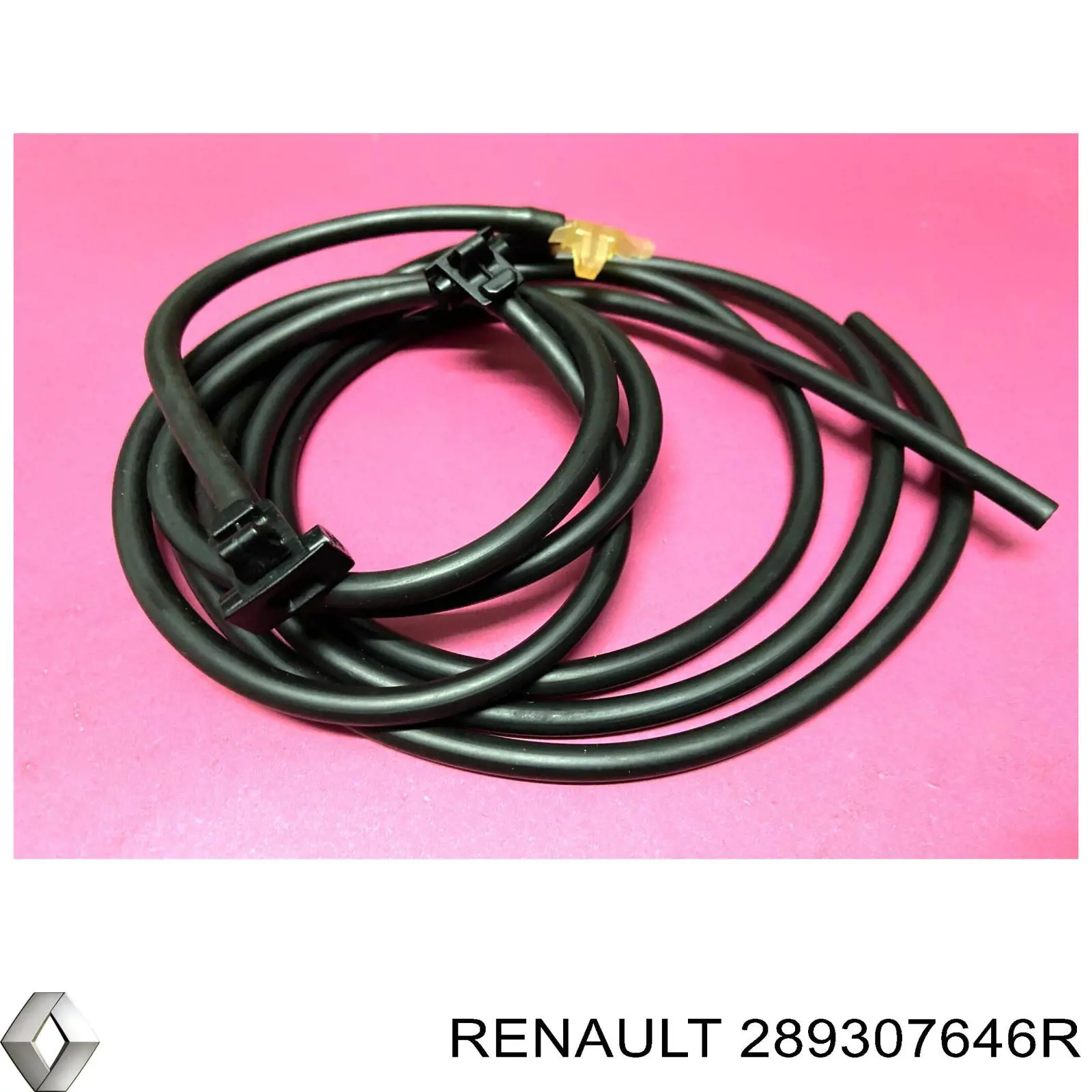 289307646R Renault (RVI) Injetor de fluido para lavador de pára-brisas