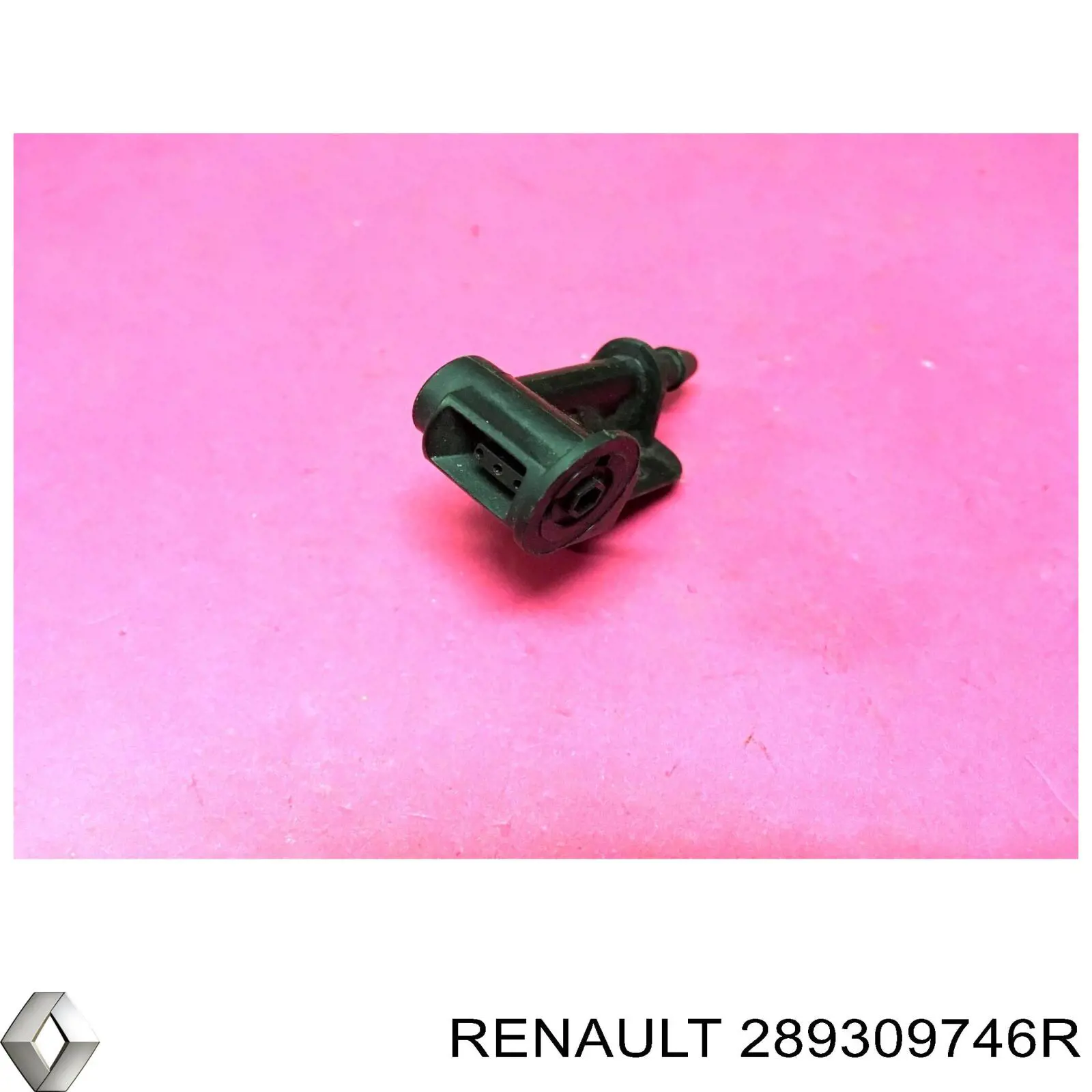 289309746R Renault (RVI) Injetor de fluido para lavador de pára-brisas