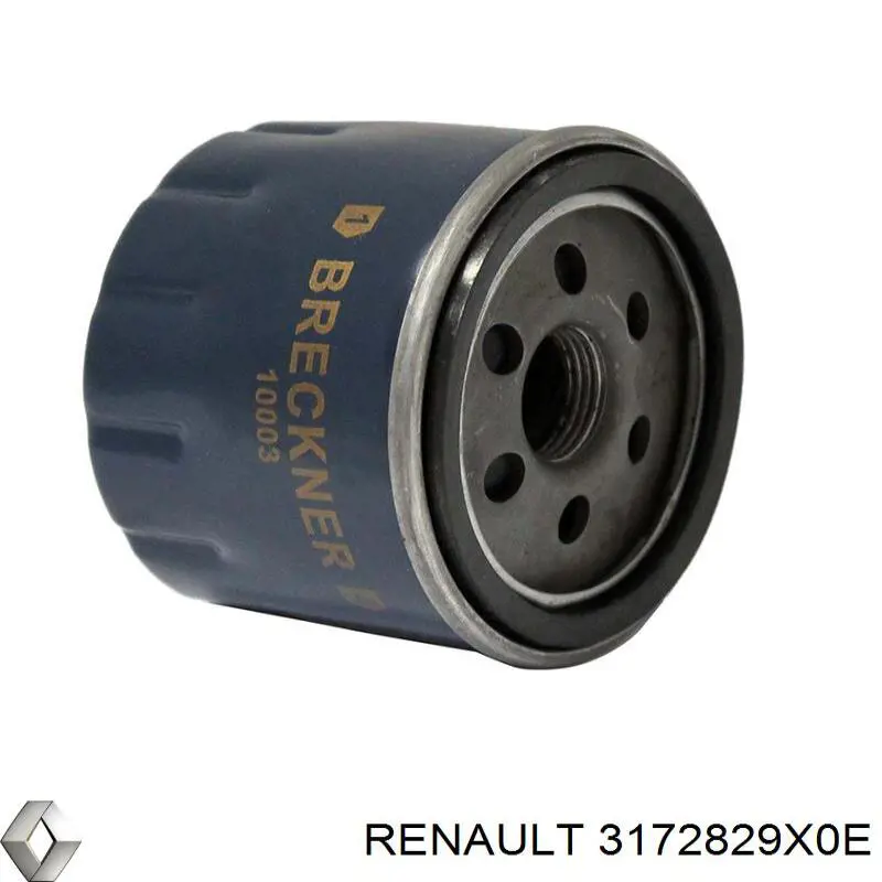 3172829X0E Renault (RVI) Filtro da Caixa Automática de Mudança