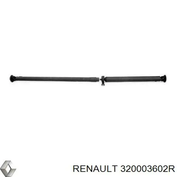 320003602R Renault (RVI) 