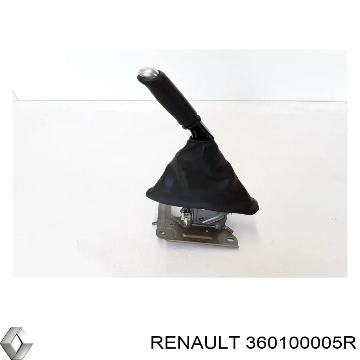 Compre 360100005R Renault (RVI) 
