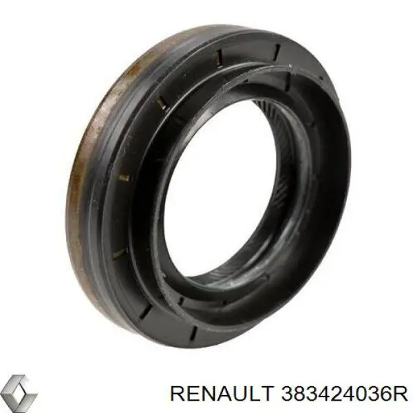 Compre 383424036R Renault (RVI) Bucim de redutor do eixo dianteiro