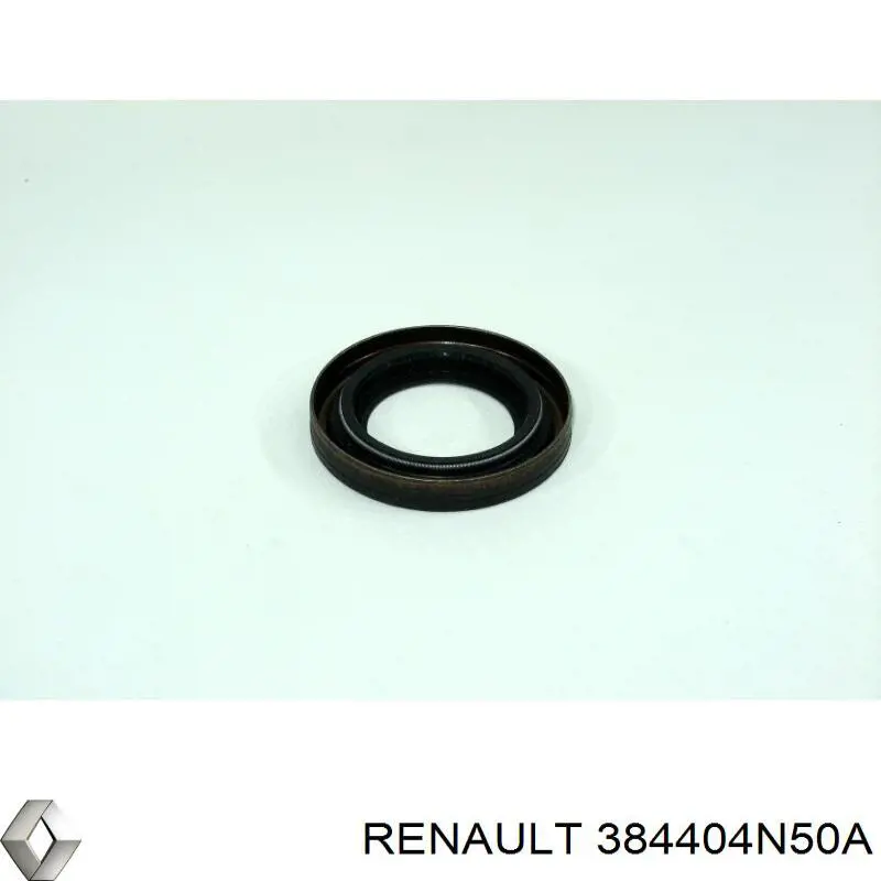  384404N50A Renault (RVI)