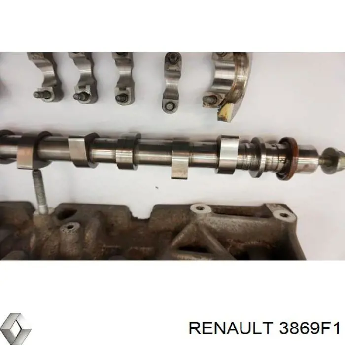  3869F1 Renault (RVI)