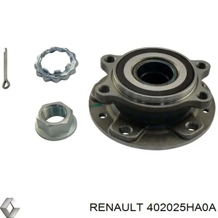 Cubo dianteiro 402025HA0A Renault (RVI)