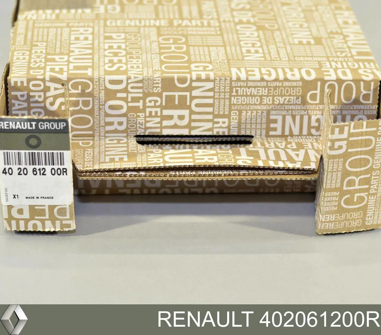 402061200R Renault (RVI) Disco do freio dianteiro