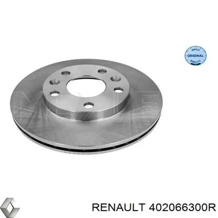 Compre 402066300R Renault (RVI) Disco do freio dianteiro