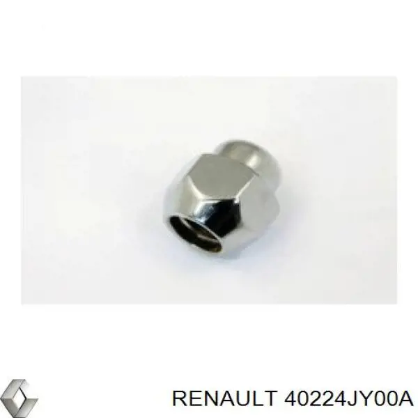 Compre 40224JY00A Renault (RVI) Porca de roda