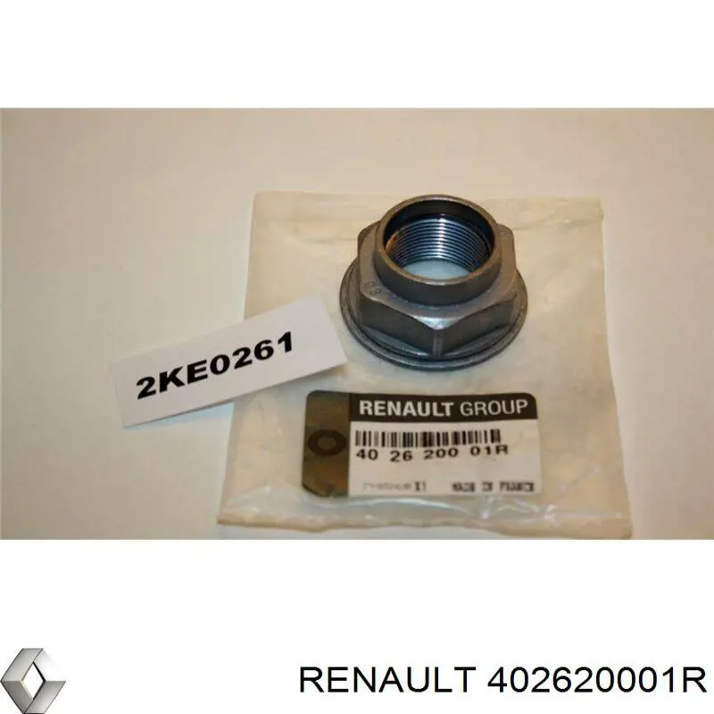 402620001R Renault (RVI) 