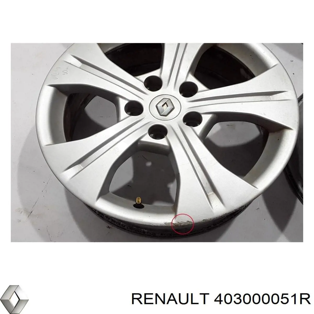403000051R Renault (RVI) 