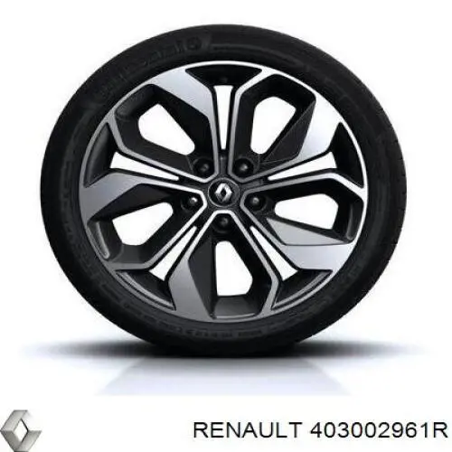 Compre 403002961R Renault (RVI) 