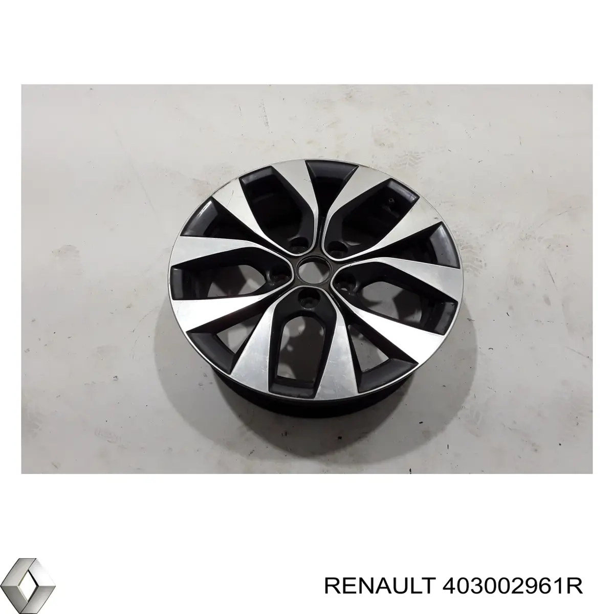  403002961R Renault (RVI)