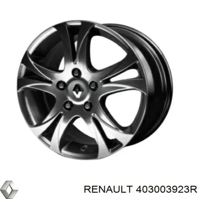 403003923R Renault (RVI) 