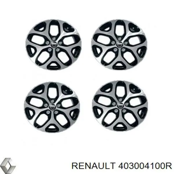 403004100R Renault (RVI) 