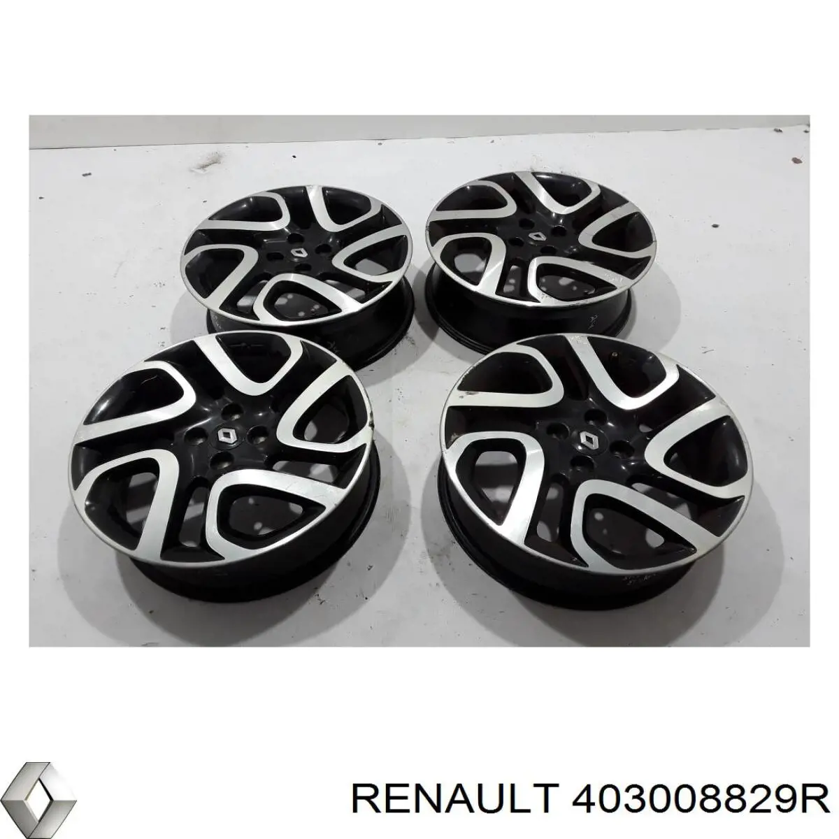  403008829R Renault (RVI)