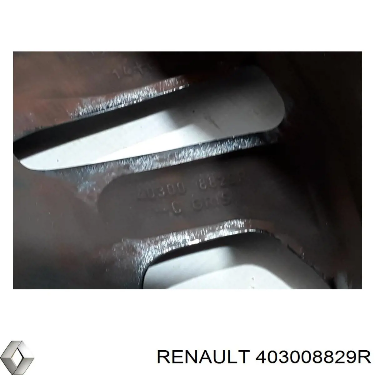  Renault (RVI) 403008829R