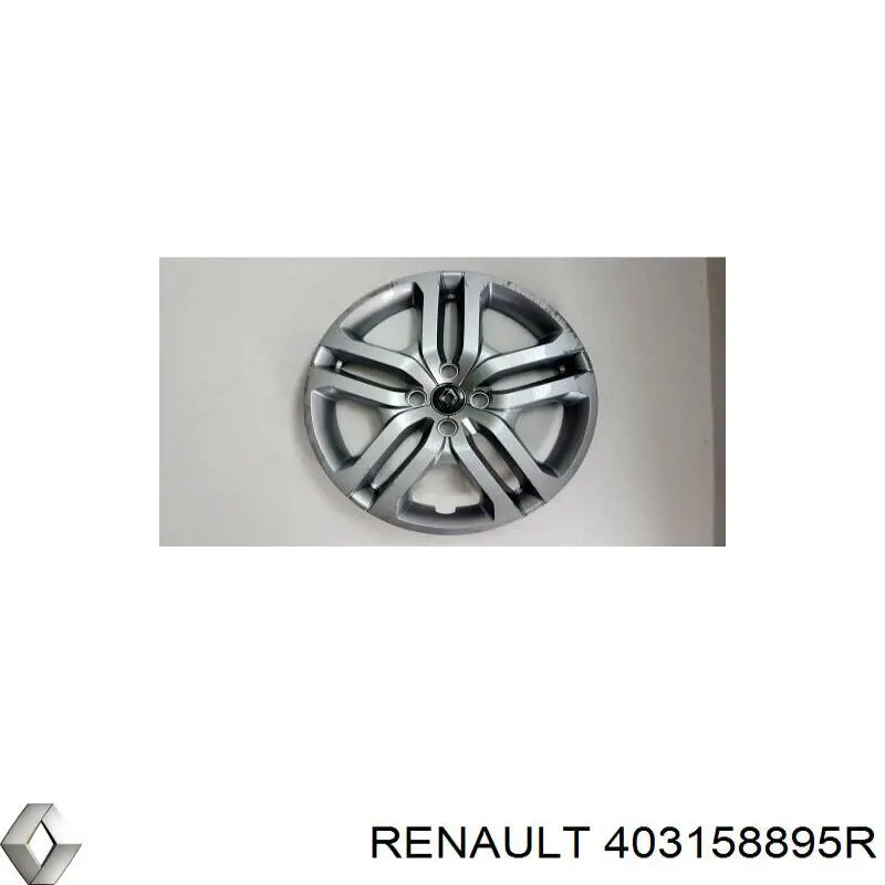 403158895R Renault (RVI) Coberta de disco de roda