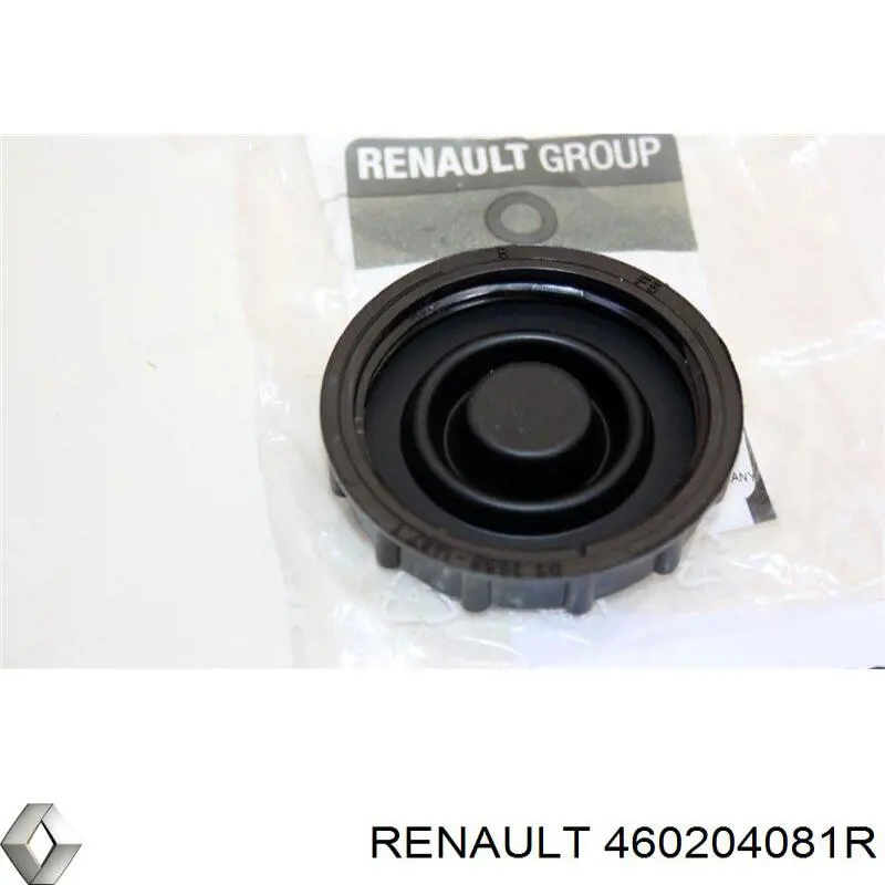 460204081R Renault (RVI) Tampa de tanque de cilindro mestre do freio