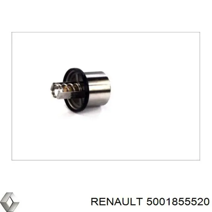 Compre 5001855520 Renault (RVI) Termostato