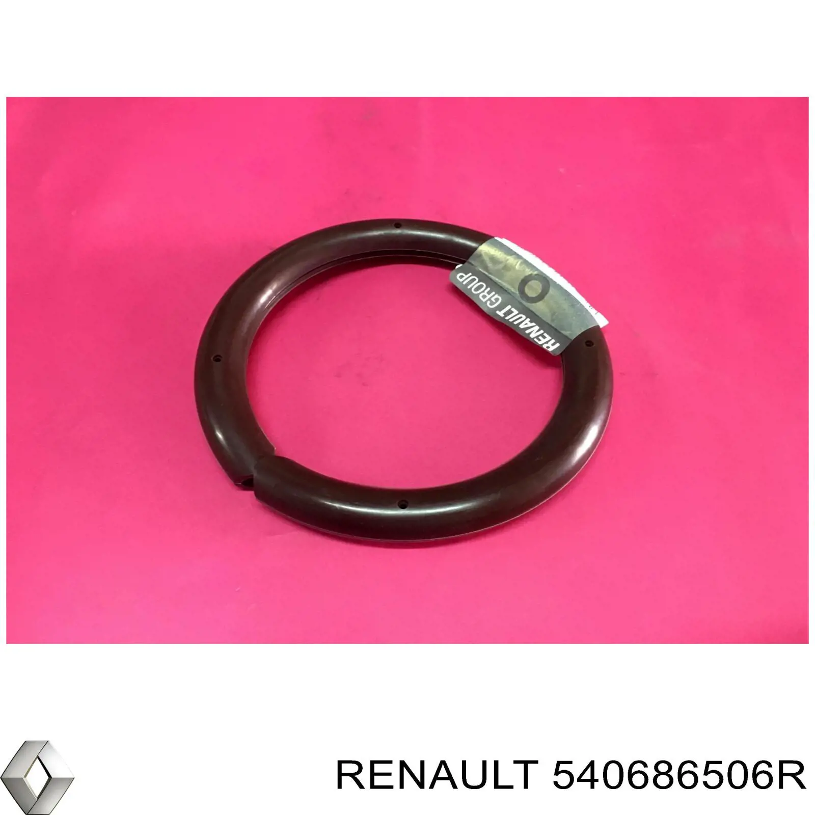 540686506R Renault (RVI) 