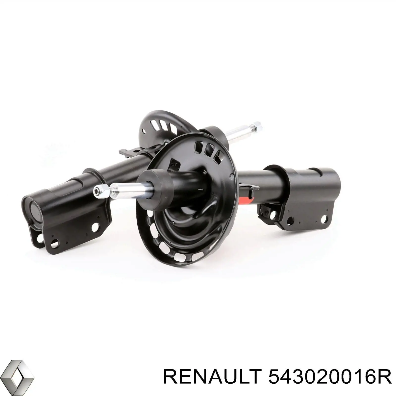 Compre 543020016R Renault (RVI) Amortecedor dianteiro