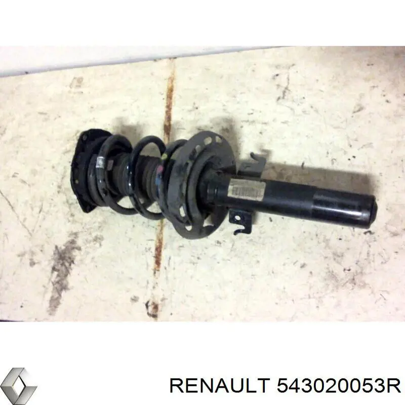 Compre 543020053R Renault (RVI) Amortecedor dianteiro