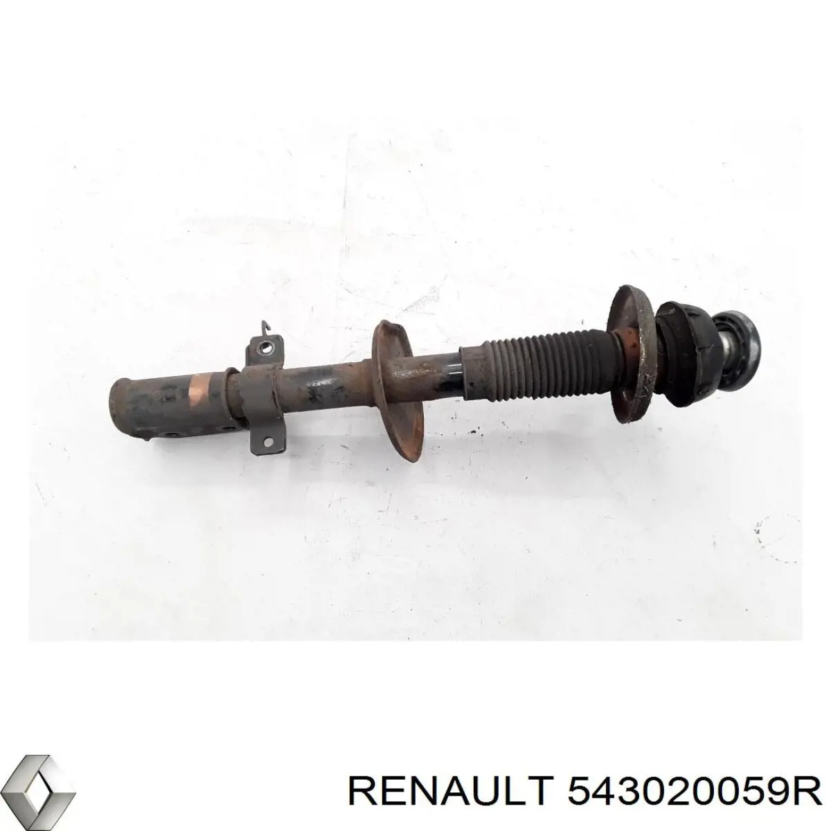 543020059R Renault (RVI) Amortecedor dianteiro
