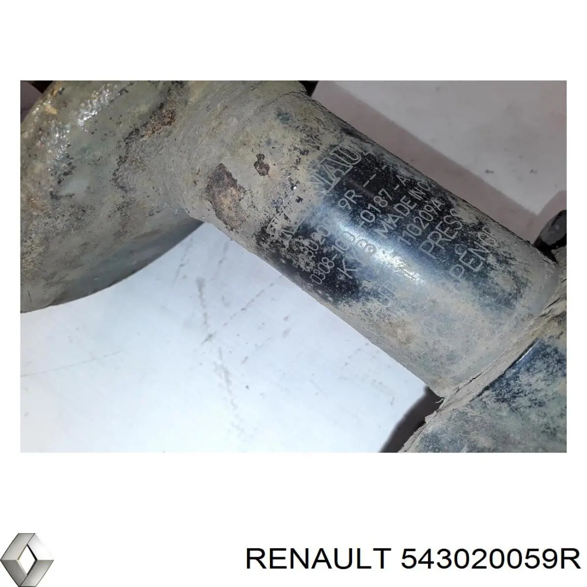 Compre 543020059R Renault (RVI) Amortecedor dianteiro