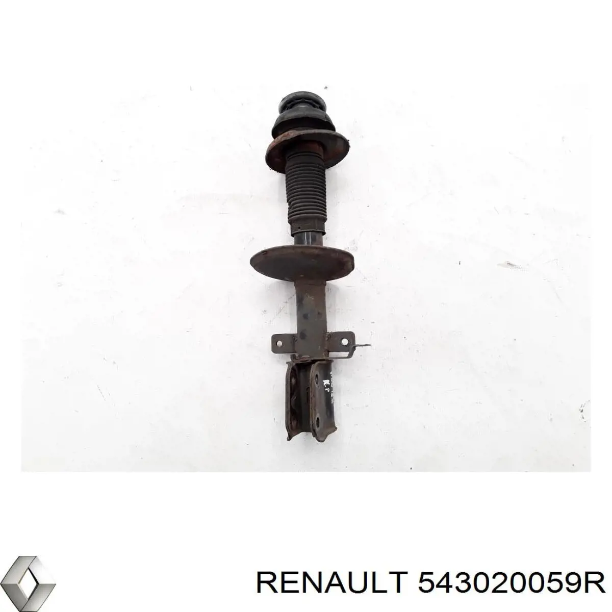 Amortecedor dianteiro Renault (RVI) 543020059R preço, a partir de 145,63 USD