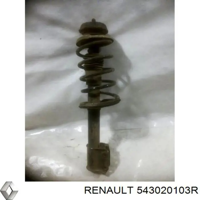 Compre 543020103R Renault (RVI) Amortecedor dianteiro