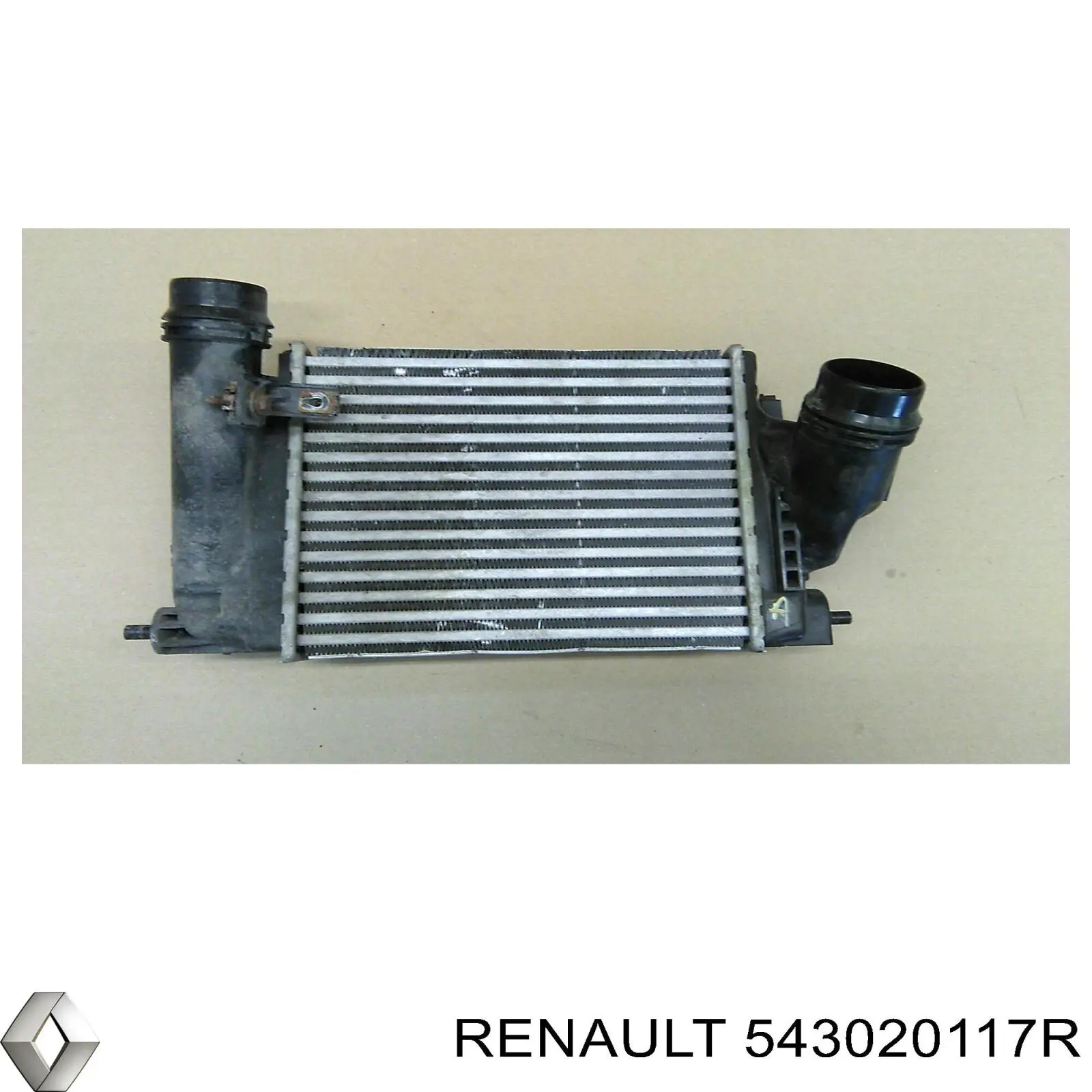 543020117R Renault (RVI) Amortecedor dianteiro