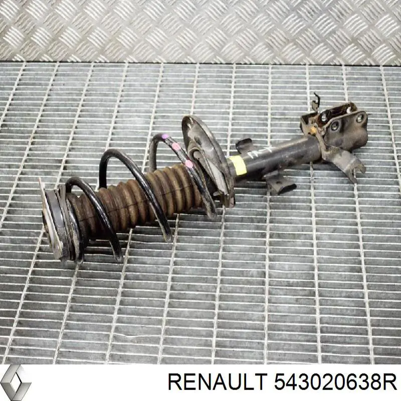 543020638R Renault (RVI) Amortecedor dianteiro