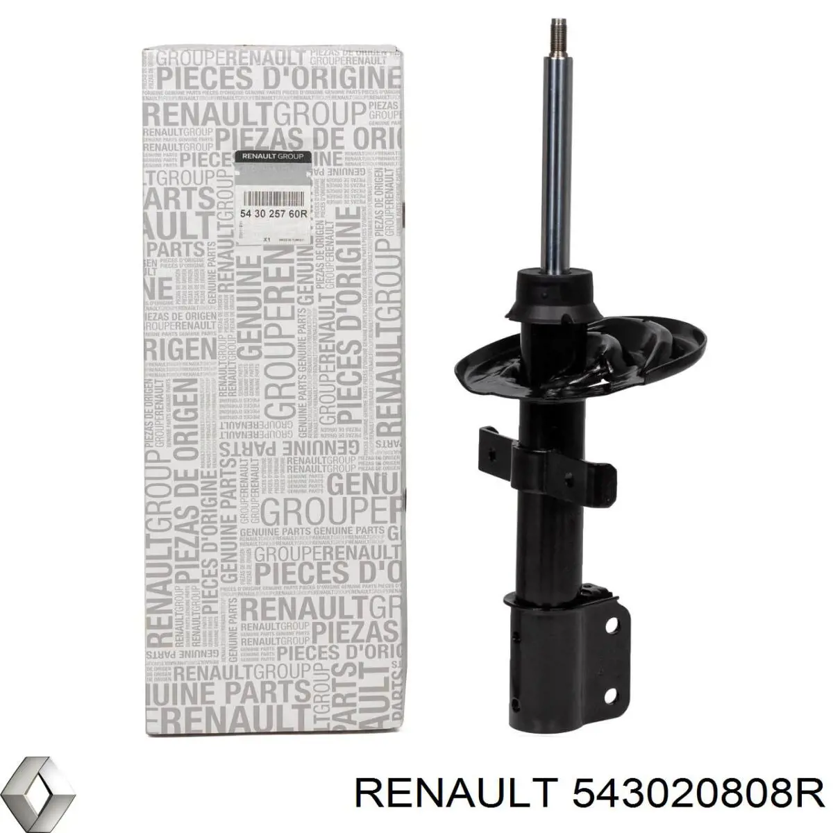 543020808R Renault (RVI) Amortecedor dianteiro