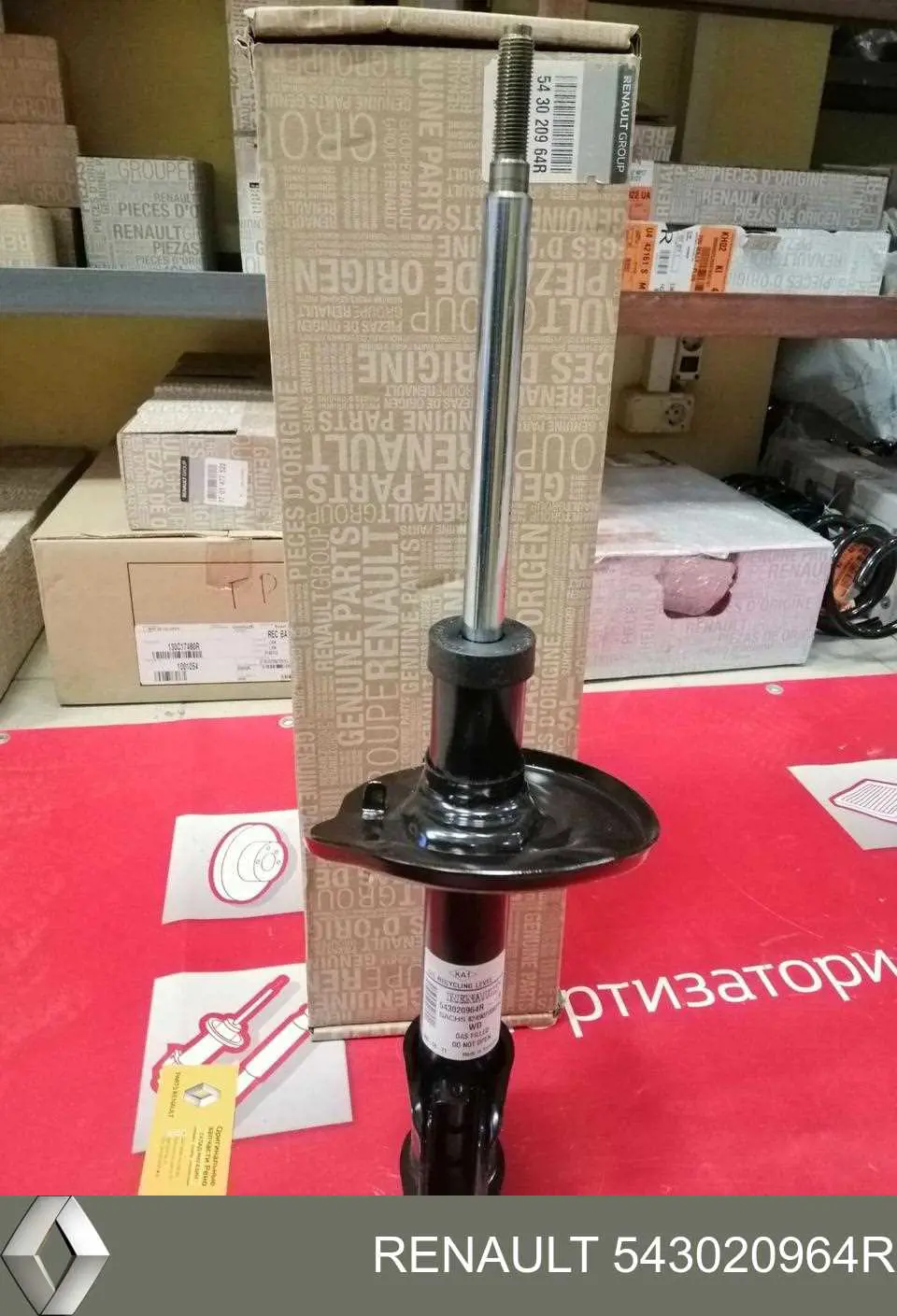 Compre 543020964R Renault (RVI) Amortecedor dianteiro